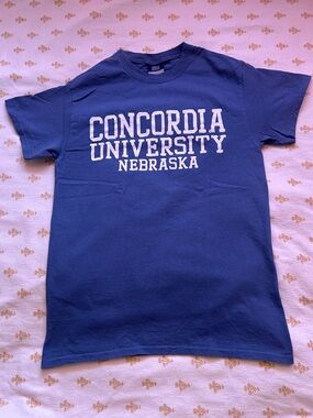 Men's Blue Crewneck T-Shirt